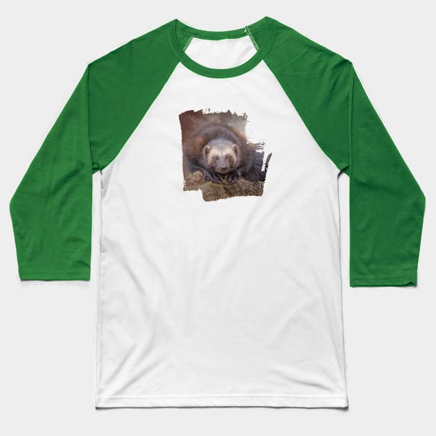 Beautiful Wolverine Baseball T-Shirt by Elisabeth Lucas